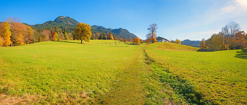 footpath over green pasture with grazing cows, farmstead. autumnal landscape Marbach