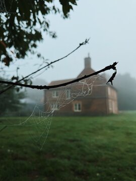 Early morning in England