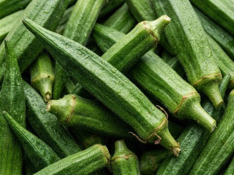 Fresh Green Okra Pods Pile Close Up Healthy Vegetable.