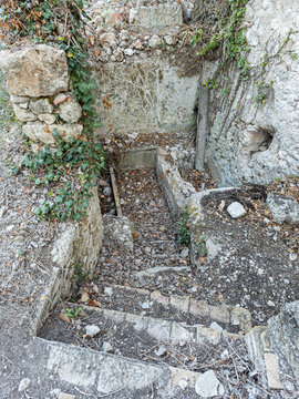 Crumbling stone stairs lead to ruins in an old building covered in leaves and debris