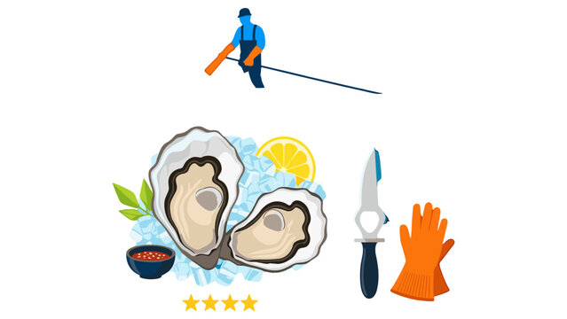 Oysters on Ice with Shucking Tool and Protective Glove Illustration
