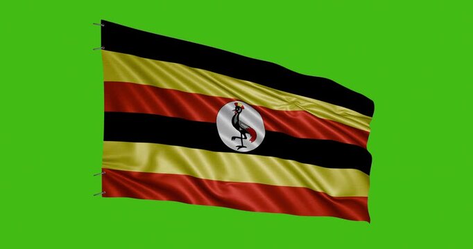 Uganda flag waving in the wind