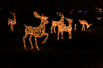 Light displays of reindeer during the Christmas season at a park on a winter night © ir1ska