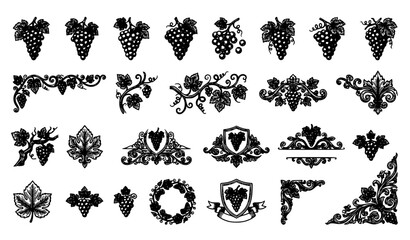 Fototapeta premium Grape Vine Icons Set Vintage Ornamental Leaves and Fruit Vector Collection