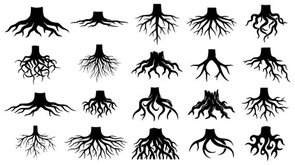 Fototapeta premium Large Black Tree Roots Silhouette Collection Vector Set Isolated Nature Illustration