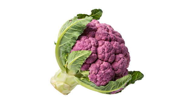 Purple cauliflower with green leaves on white background cauliflower vegetable ingredient isolated healthy eating nutrition broccoli cauliflowers vegetables superfood culinary