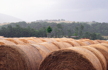 Bales of Hay during Hailstorm © Simonetta