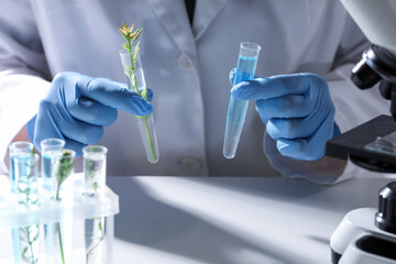 Fototapeta premium Biochemistry. Scientist holding sample of plant and test tube with liquid at white table indoors, closeup
