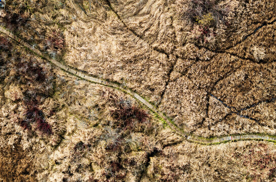 Aerial view of a dry, textured landscape with a faint winding path cutting through tan and brown vegetation, revealing natural patterns and subtle contrasts between parched earth and sparse greenery.