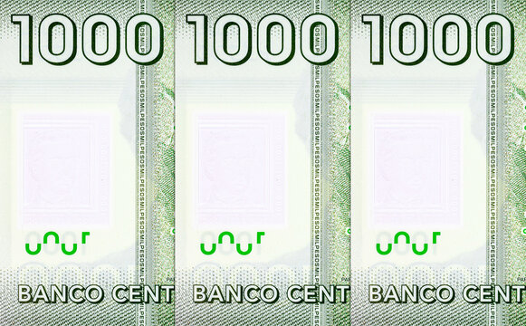 1000 Chilean Pesos banknote featuring Torres del Paine National Park and Guanaco. New currency of Chile. Chile money.