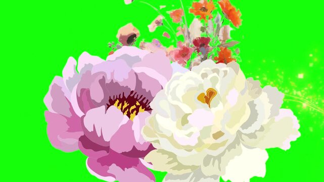 bouquet of pink roses vector green screen 