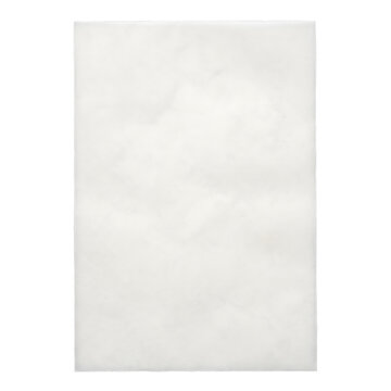 Translucent Vellum Paper Sheet with Fine Frosted Texture