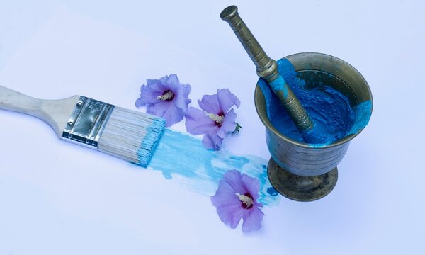 Ein Malerpinsel mit blauer Farbe, Hibiskusbl&uuml;ten, Ein M&ouml;rser mit anger&uuml;hrtem Pigment. 