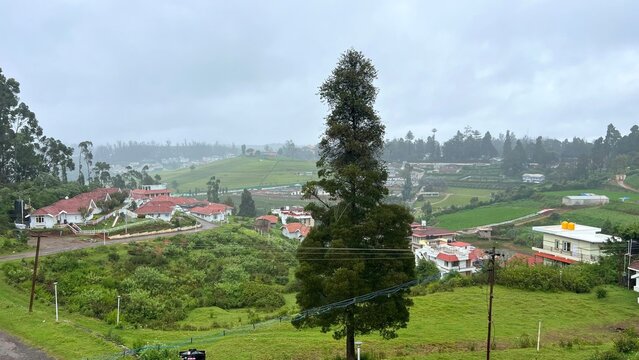Misty hill station resort with red tiled cottages surrounded by lush green tea plantations, eucalyptus trees and foggy mountain slopes, capturing peaceful monsoon travel and countryside retreat.