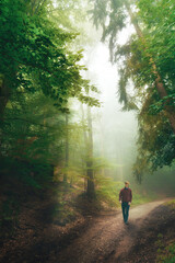 Hiker enjoys a walk in a beautiful lush green forest with fog and atmosphere. Man casually walking on a scenic woodland path.  © Smileus