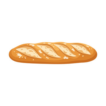 Fresh french baguette bread vector illustration, crusty loaf of bread