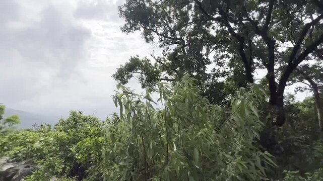 Scenic Full HD footage of winding hill station road with forest trees, cloudy sky and distant valley view, capturing peaceful mountain travel, nature landscape and countryside tourism atmosphere.