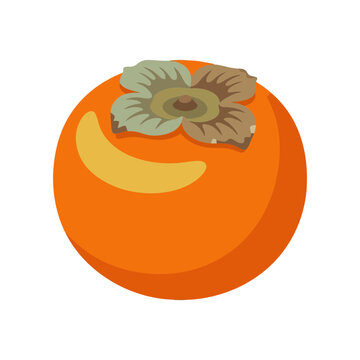 Ripe orange persimmon fruit vector illustration with green leaf calyx, sweet autumn fruit clipart design element