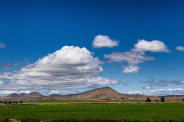Obraz premium Agricultural lands of Macdoel, Califrornia, United States