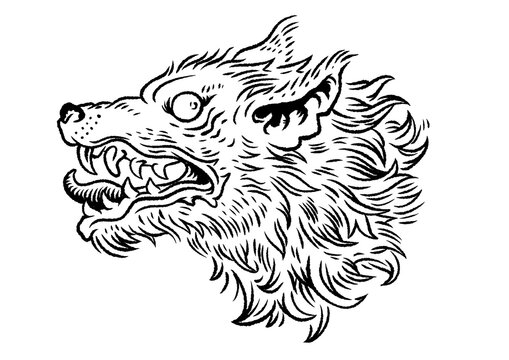 wolf tatto design