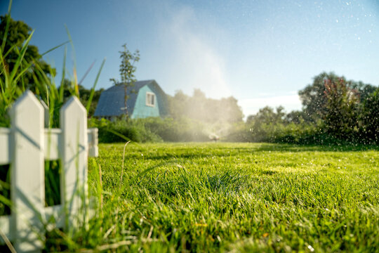 Sunlight glints off dew-kissed grass after a light sprinkler spray