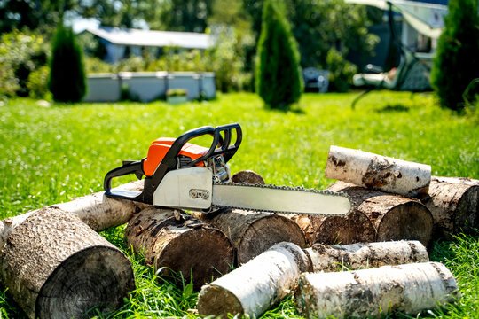Chain saw rests beside logs on grassy lawn