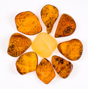 natural baltic amber