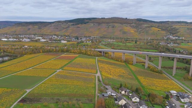 Vineyards in Moselle valley, autumn season, Mosel Viaduct Longuich, bridge of highway crossing river near Trier, aerial view