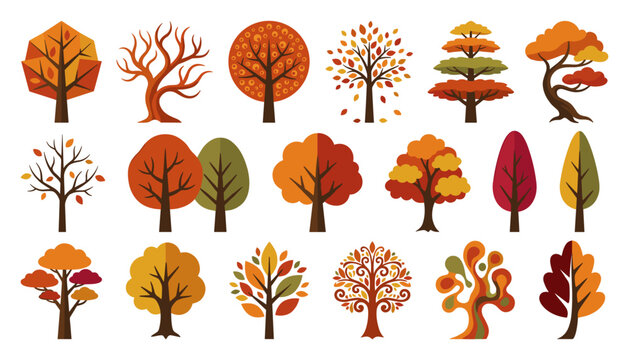 Autumn Tree Collection Featuring Colorful Fall Foliage, Decorative Seasonal Trees, Bare Branches, Botanical Silhouettes, and Nature Illustrations