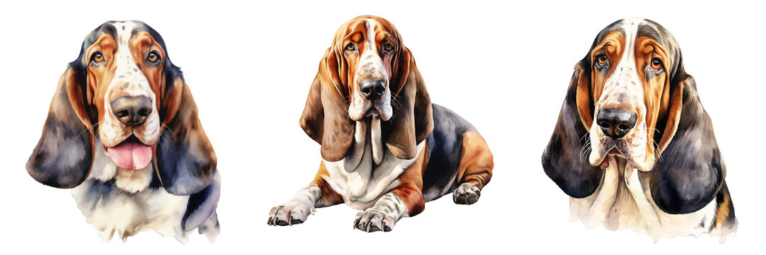 Watercolor illustration of three basset hounds with floppy ears on a black background