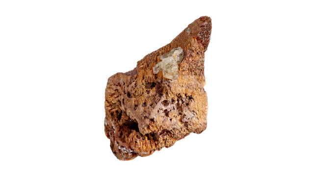 Authentic porous organic mineral showcasing unique rustic iron texture and crystalline facets. High quality minimalist layout template for modern brand identity