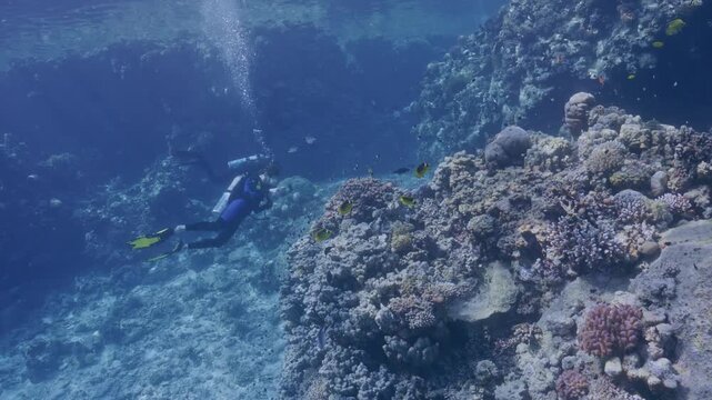 Female scuba diver signals to look at something.