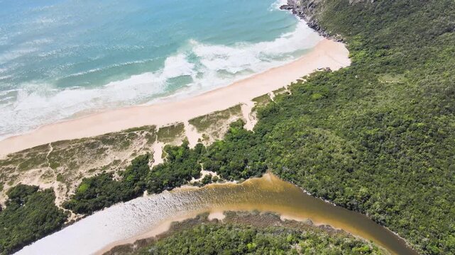 Drone Top Down Aerial View of Sinuous Freshwater Lagoon at Lagoinha do Leste in Florianopolis Brazil, Birds Eye View of Wild River Estuary, Coastal Dunes and Forest Geometry Travel Footage