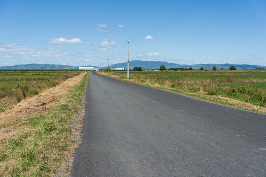 Rural Road Through Farmland Near Te Awamutu