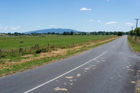 Rural Road Beside Green Farmland Near Te Awamutu