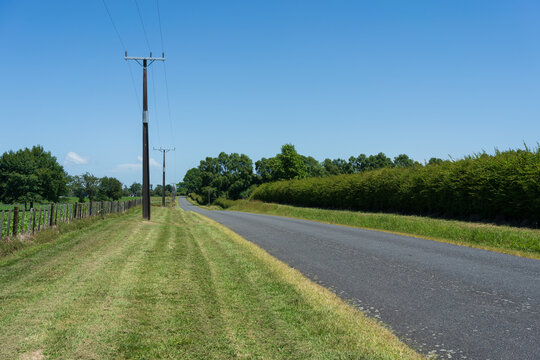 Rural country road through farmland in New Zealand