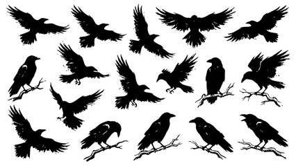 Obraz premium Crow and Raven Hand Drawn Black Silhouette Vector Set
