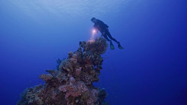 Scuba diver explores top of coral head.