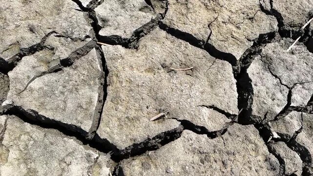 Cracked dry soil on a parched lakebed in harsh sunlight, deep fissures splitting grey clay into hard plates, close top down view as a drought and climate change texture