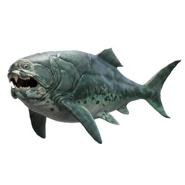 Prehistoric armored fish with massive jaws and bony plates isolated on white background ancient marine predator