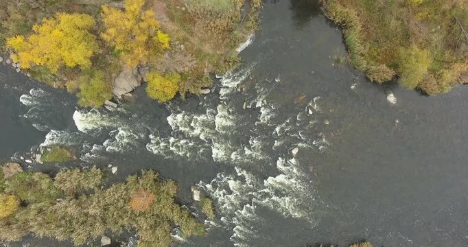 Top down aerial view of a fast mountain river with whitewater rapids over rocks, yellow autumn trees along the banks, filmed from a drone in soft overcast light