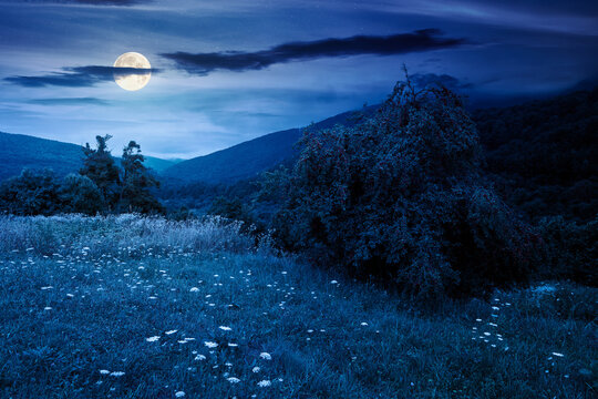 rural mountain landscape of ukraine at night. countryside scenery of transcarpathia in summer. forested hills and grassy meadows under dark sky in full moon light
