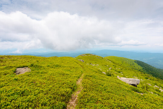 mountain path through green alpine meadow. summer landscape of Ukrainian Carpathians. travel background for hiking