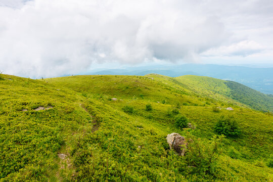 mountain path through green alpine meadow. summer landscape of Ukrainian Carpathians. travel background for hiking