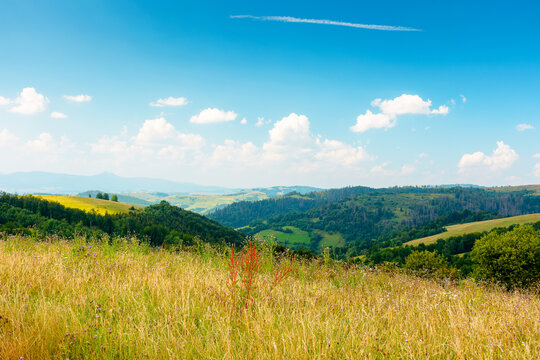 countryside mountain landscape in summer. lush grassy pasture on a hill near forest. rural outdoor adventure background. alpine highland of ukraine on a sunny afternoon