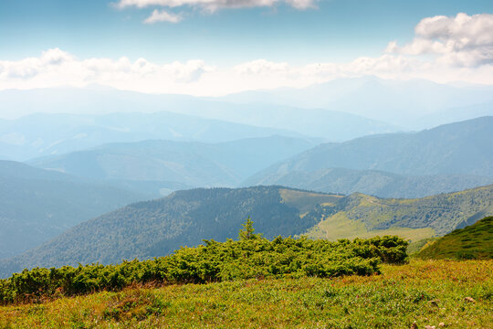 mountainous countryside landscape in summer. grassy meadow on top of a hill. mountain ridge with forested slopes in the distance. sunny weather with clouds on the blue sky