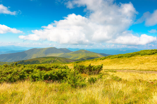 mountainous countryside landscape in summer. grassy meadow on top of a hill. mountain ridge with forested slopes in the distance. sunny weather with clouds on the blue sky