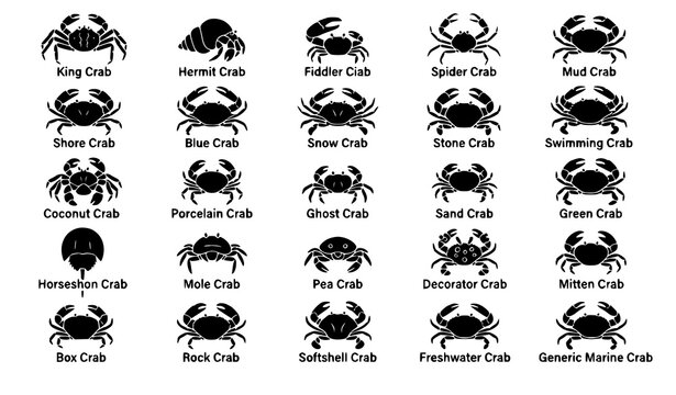 Crab Species Solid Icon Set with 25 Marine Crustacean Wildlife Symbols