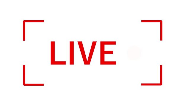 Red Live Streaming Camera Frame Overlay with Blinking Recording Dot Animation Loop Isolated white Background Motion Graphic Video