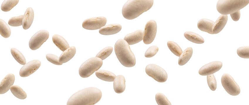 Scattered cannellini beans falling isolated on transparent background